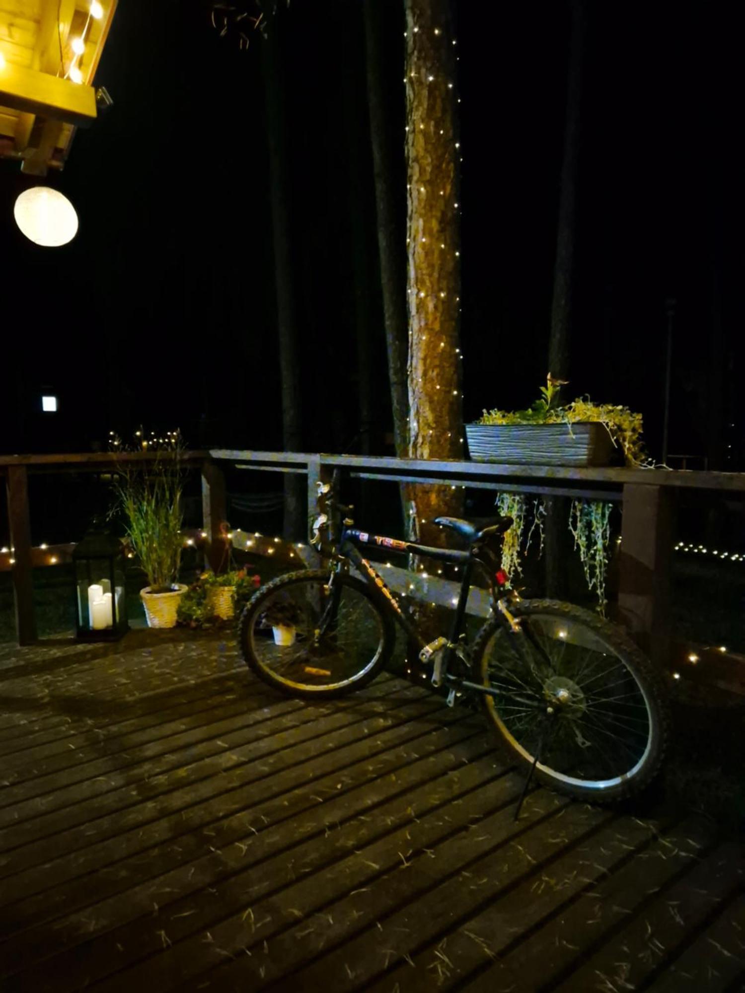 Dziczek Holiday home Borsk