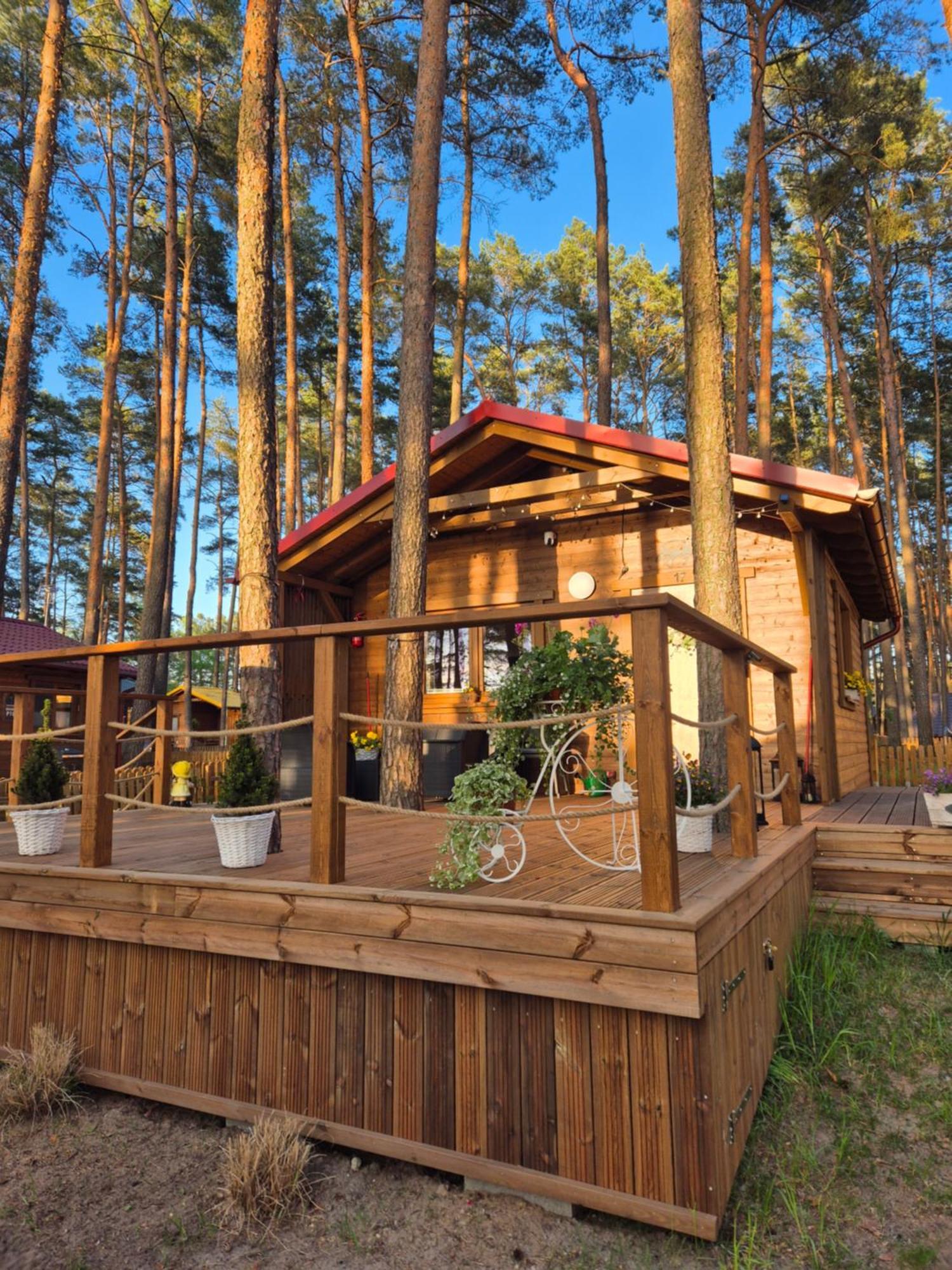 Dziczek Holiday home *